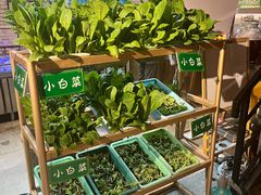 -锦上中式酒馆(南内环店)