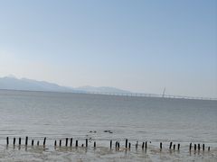 -深圳湾公园(南山区)