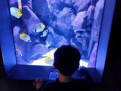 -成都浩海立方海洋公园