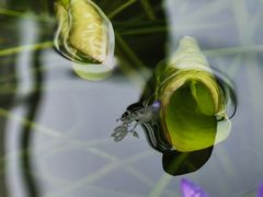 -国家植物园南园