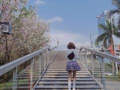 -南宁南湖公园