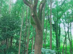 -共青国家森林公园-售票处