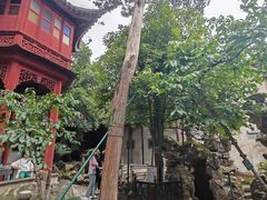 -东山雕花楼