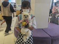 -怪兽屋·羊驼·猫咖·狗咖(俊华广场店)