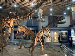 -国家自然博物馆