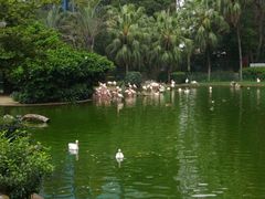 -九龙公园