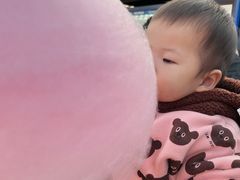 -合肥融创乐园