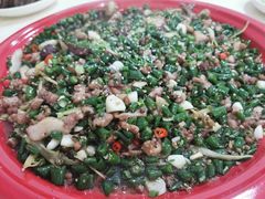 -东吴霸王兔(松青路店)