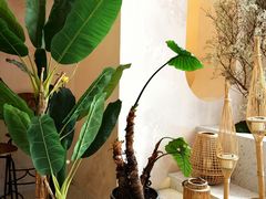 -HUATA 'Holiday Plan 花榻