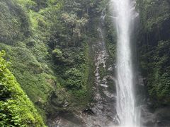 -莫里热带雨林景区
