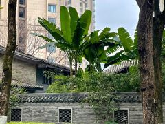 -重庆市江北嘴中央商务区中央公园