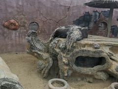 -大连森林动物园