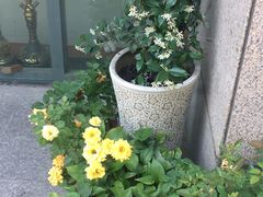 门面-伊斯坦布尔土耳其清真咖啡餐厅