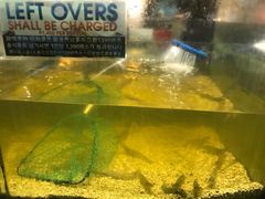 -Isla Sugbu Seafood City