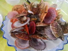 -沿海渔家院蒸汽海鲜·东北菜(东戴河店)