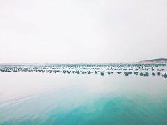 -兴旺渔家