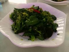 -幸福绿洲美食广场