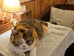 -隅cafe(傅厚岗店)