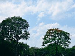 -顺峰山公园