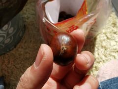 -小栗王(木渎店)