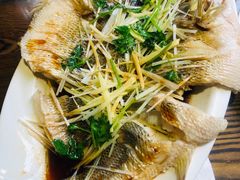 -鲁前海沿儿