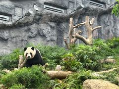 -石排湾郊野公园