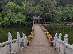 -黑龙潭公园