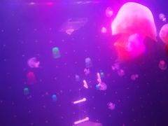 -欧亚达商业广场(红桥店)