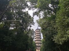 -灵谷景区