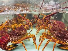 -甄御•海鲜新青岛菜(麦岛店)