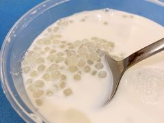 椰汁西米露-阿毛饭店(和义路店)