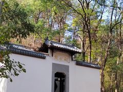 -青龙山国家森林公园