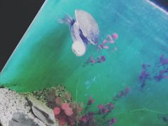 -常州海昌海洋探索馆