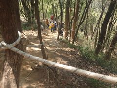 -灵岩山风景区