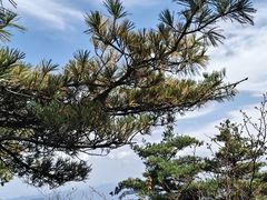 -秦岭天竺山生态文化旅游景区