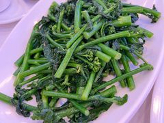 姜汁芥兰苗-潮喜竹溪荔湖酒家(荔枝湾店)