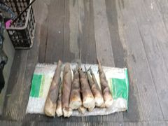 -都江堰普照寺