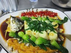 -红樱桃月嫂育婴师(徐汇总店)