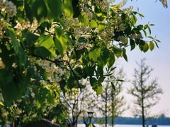 -沈阳辉山风景区