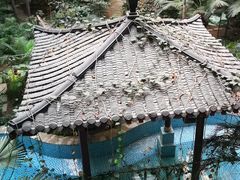 -黑龙江中医药大学附属第一医院