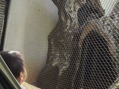 -南昌动物园