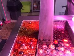 -老王芙蓉蛋卷饼(万达店)