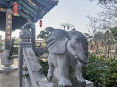 -朱家花园
