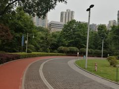 -龙头寺公园