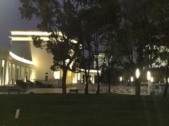 -大宁郁金香公园-停车场