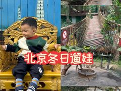 -呀路古热带植物园