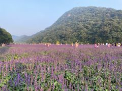 -广州市石门国家森林公园