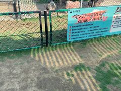 -太阳岛旅游度假区