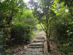 -梧桐山风景名胜区