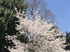 -御花园·粤菜·海鲜火锅(中山公园店)